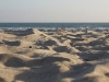 p1010420.jpg